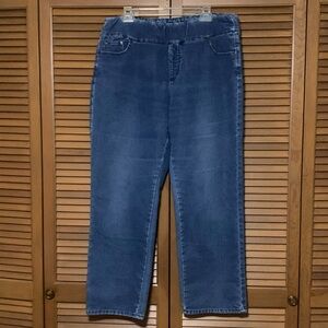 Chadwicks Pull On Jean Jeggings Blue 16